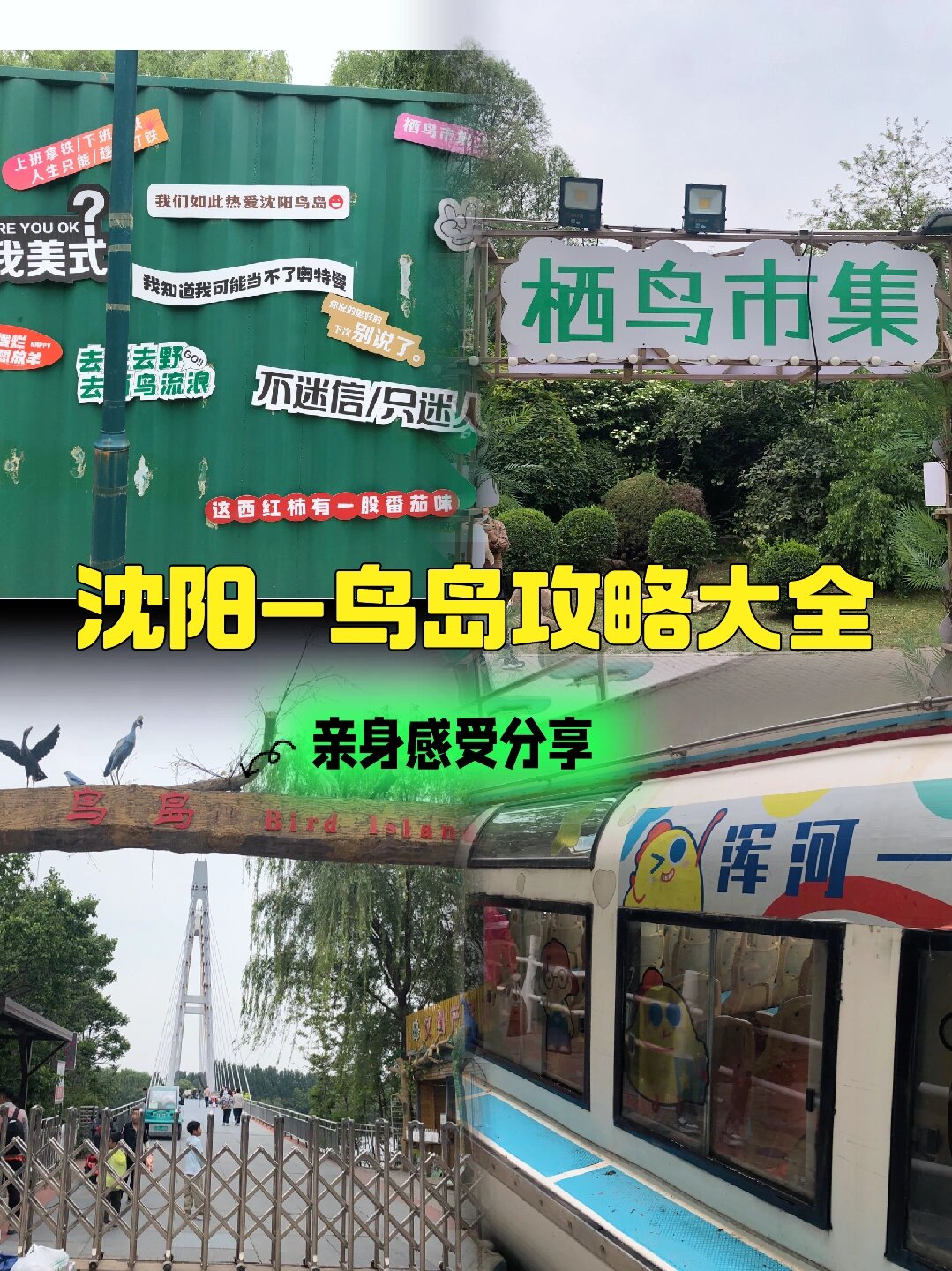 沈阳鸟岛乘车路线图片