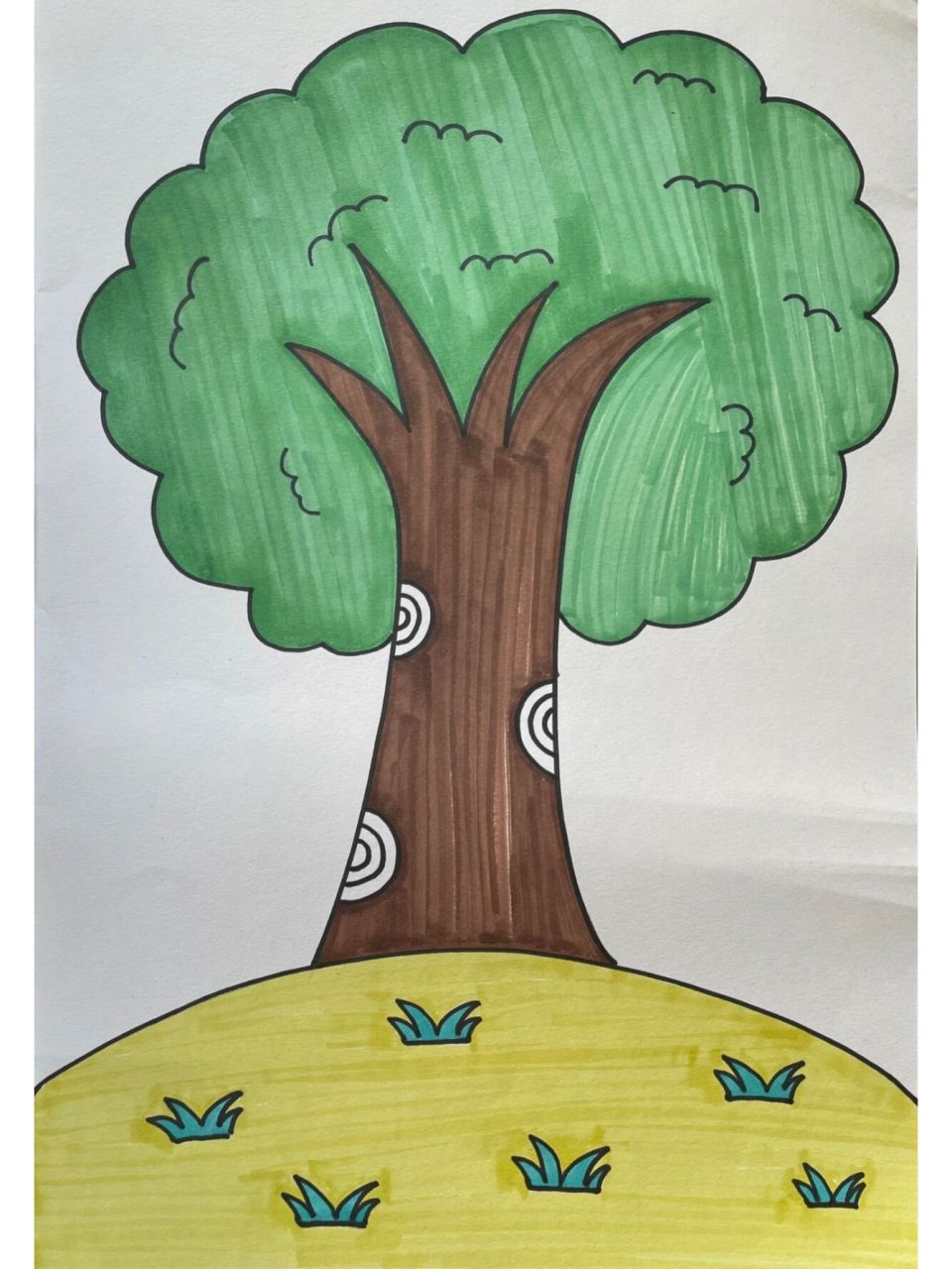 儿童简笔画大树彩色图片