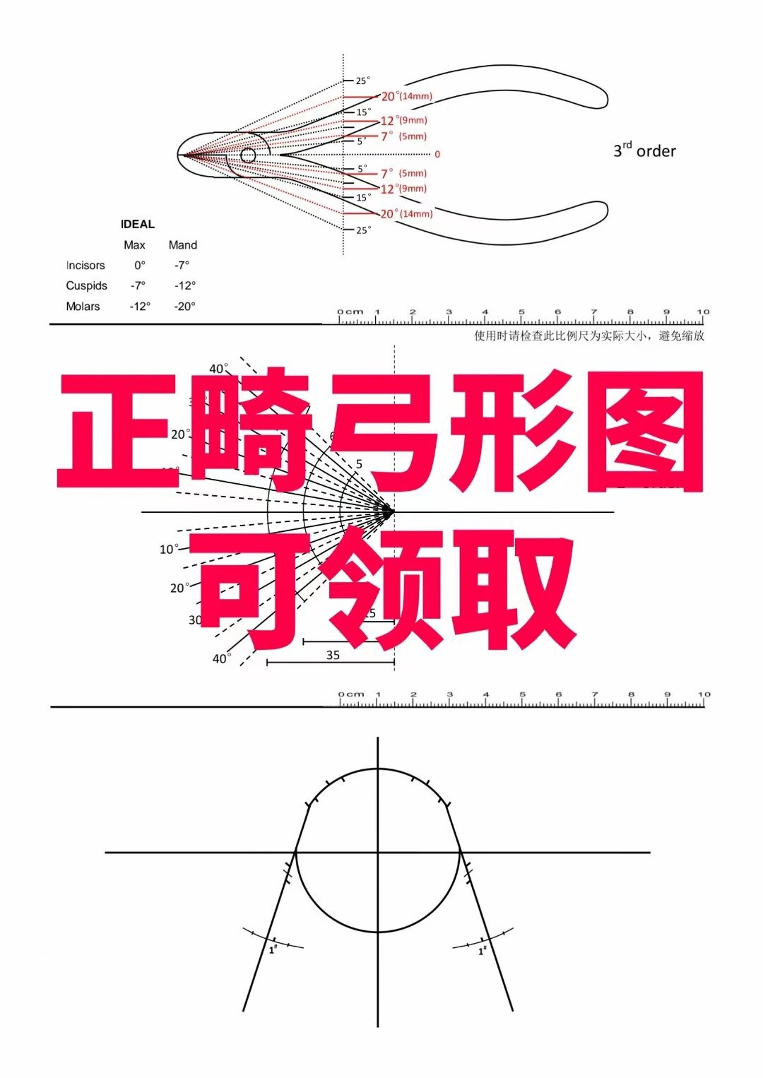 口腔正畸弓形图标准版 可领取