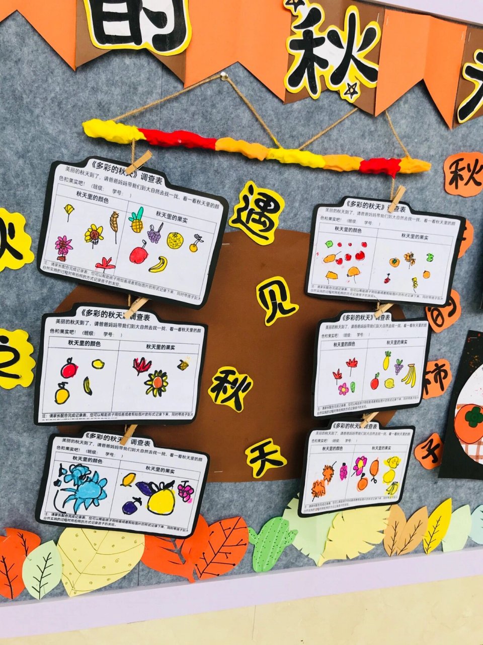 中班主题《多彩的秋天》94  多彩的秋天