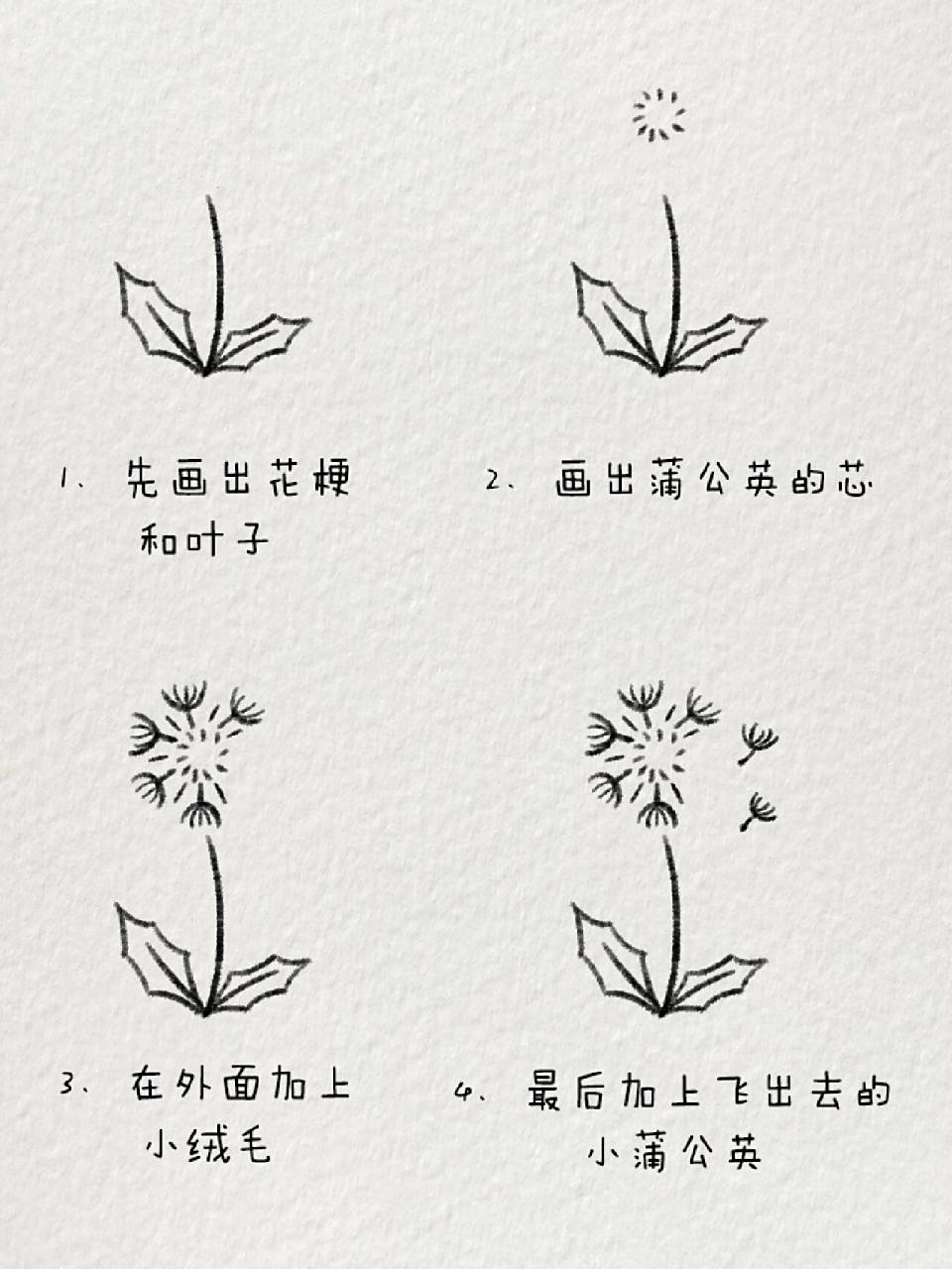 超简单的蒲公英简笔画|随风而往94 做一颗蒲公英吧,风起而行,风静而
