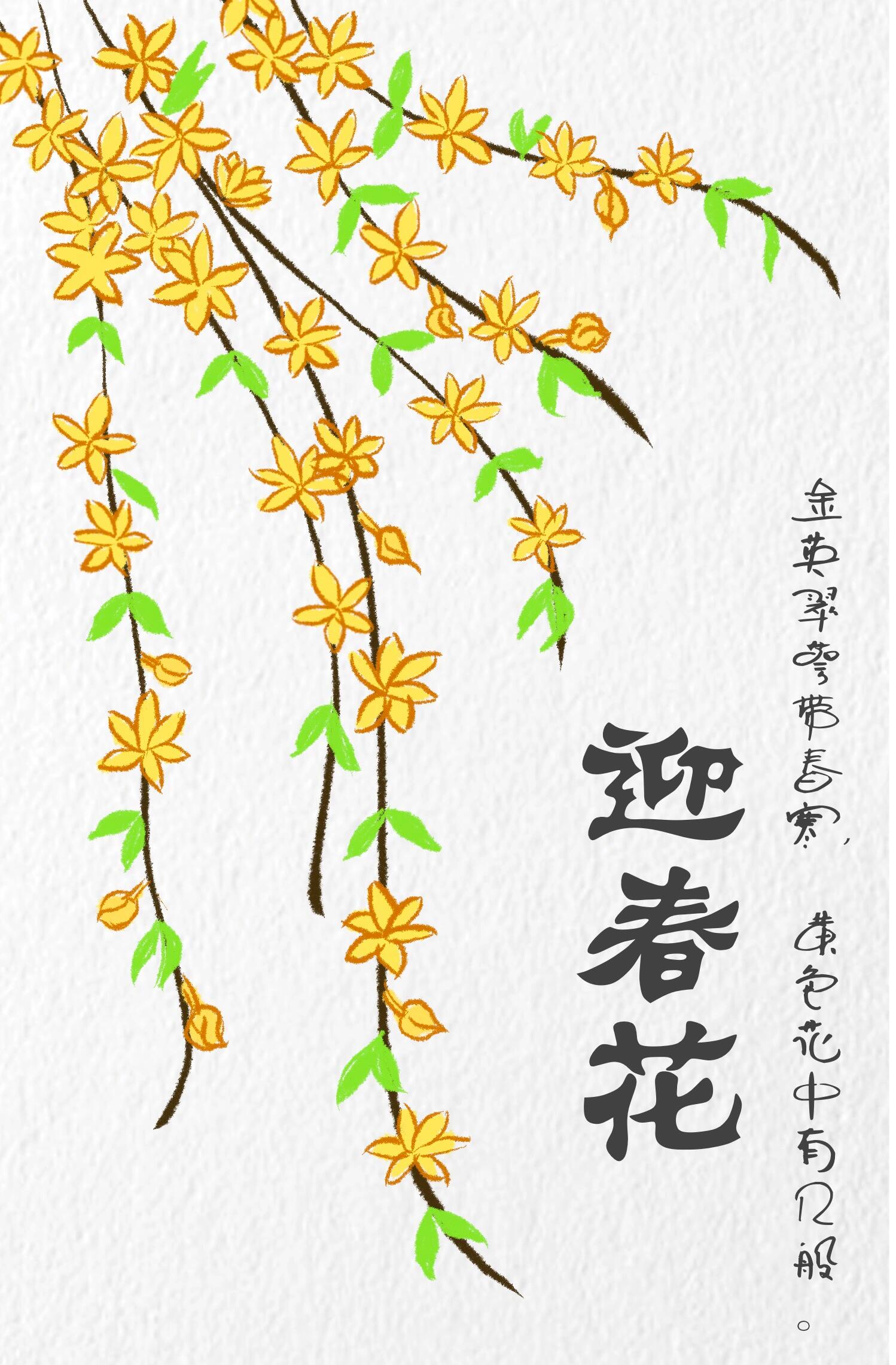 迎春花简笔画