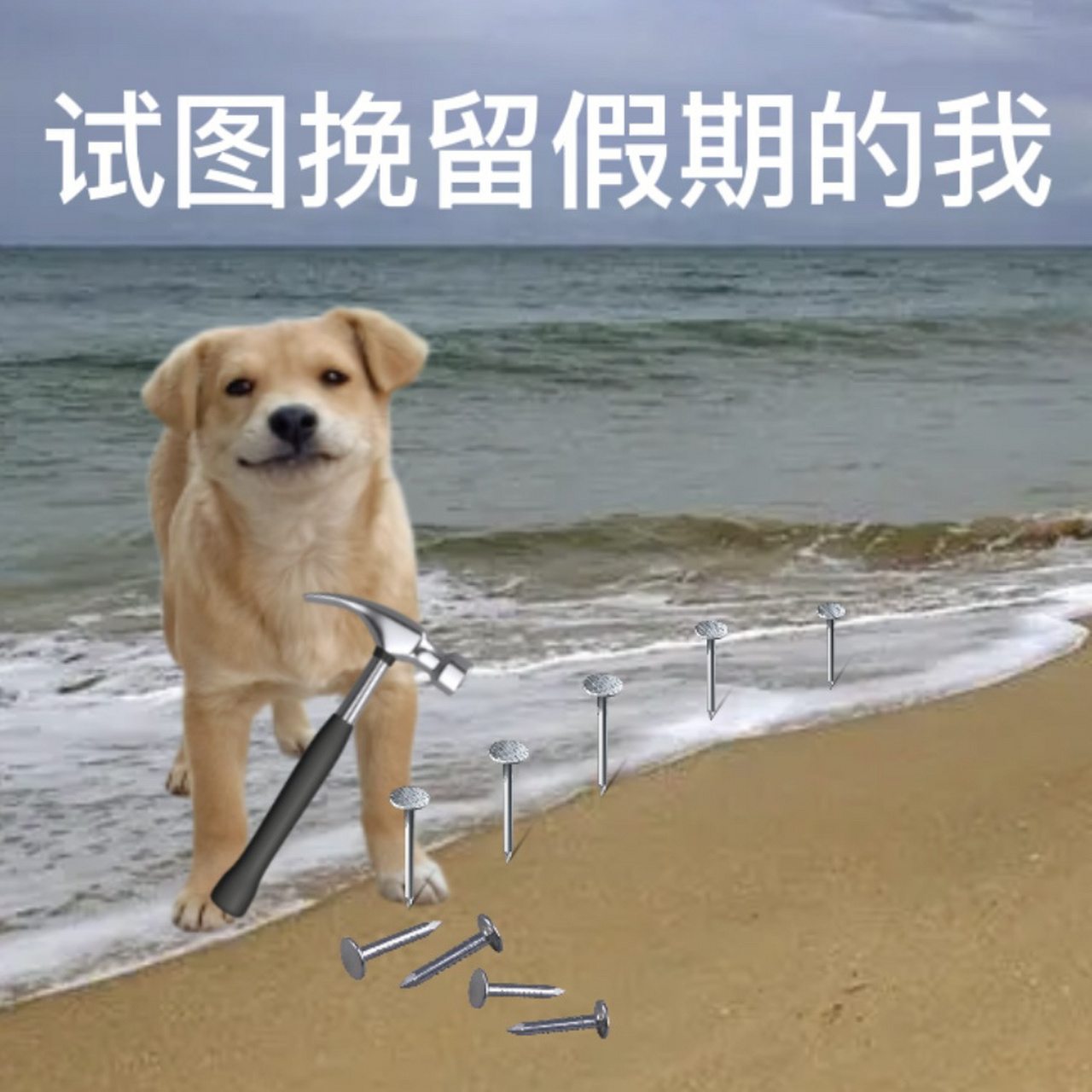 试图挽留假期的你96