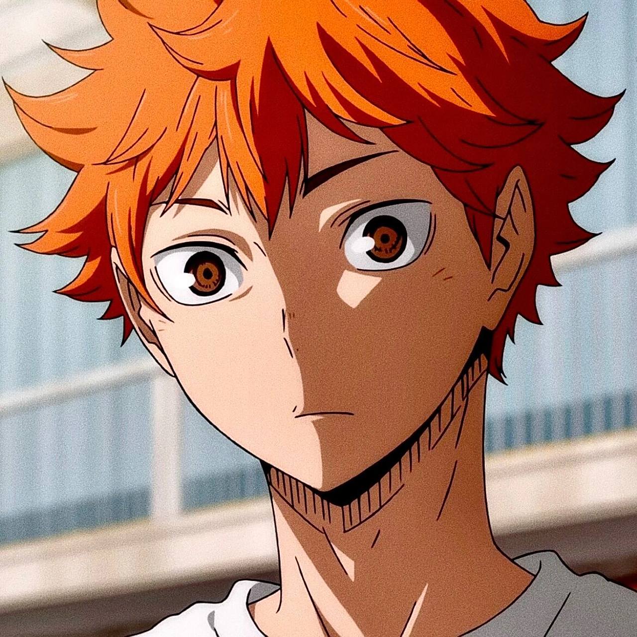 7715日向翔阳|高质量头像 分享一组小太阳高质量头像 自截调色