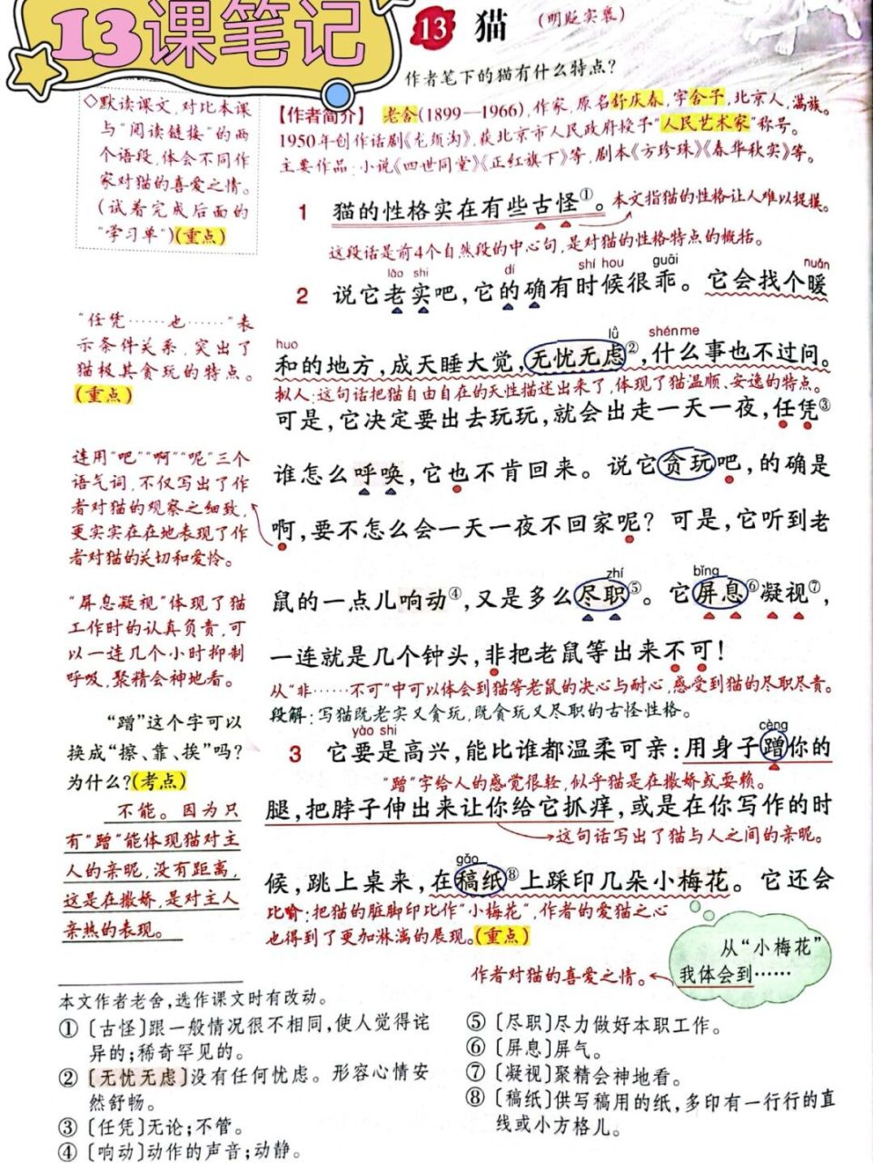 四年级下册语文13课《猫》笔记 #笔记# #小学语文基础知识# #小学语文