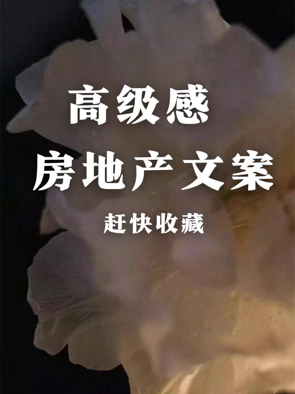 原创丨高级感的房地产文案这样写 广告人,房地产人,不知道如何写文案?