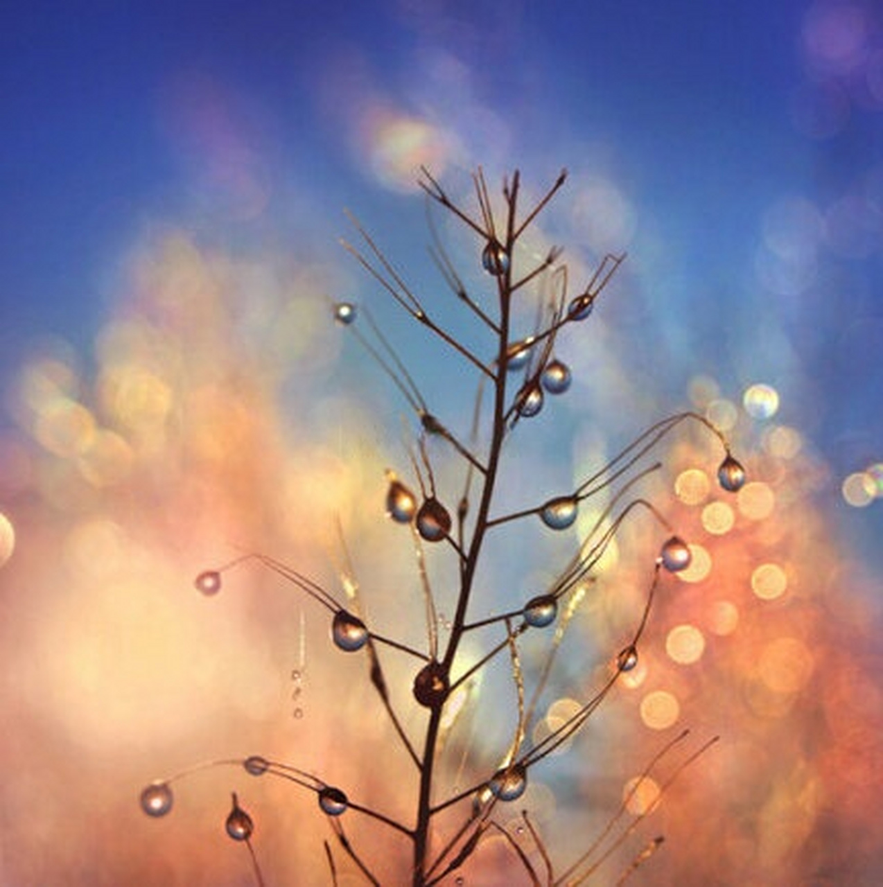 不求相守,只缘遇见.明媚忧伤,浅浅收藏.