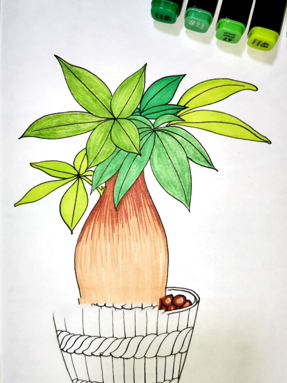 马克笔手绘 发财树 创意儿童画简笔画 线描