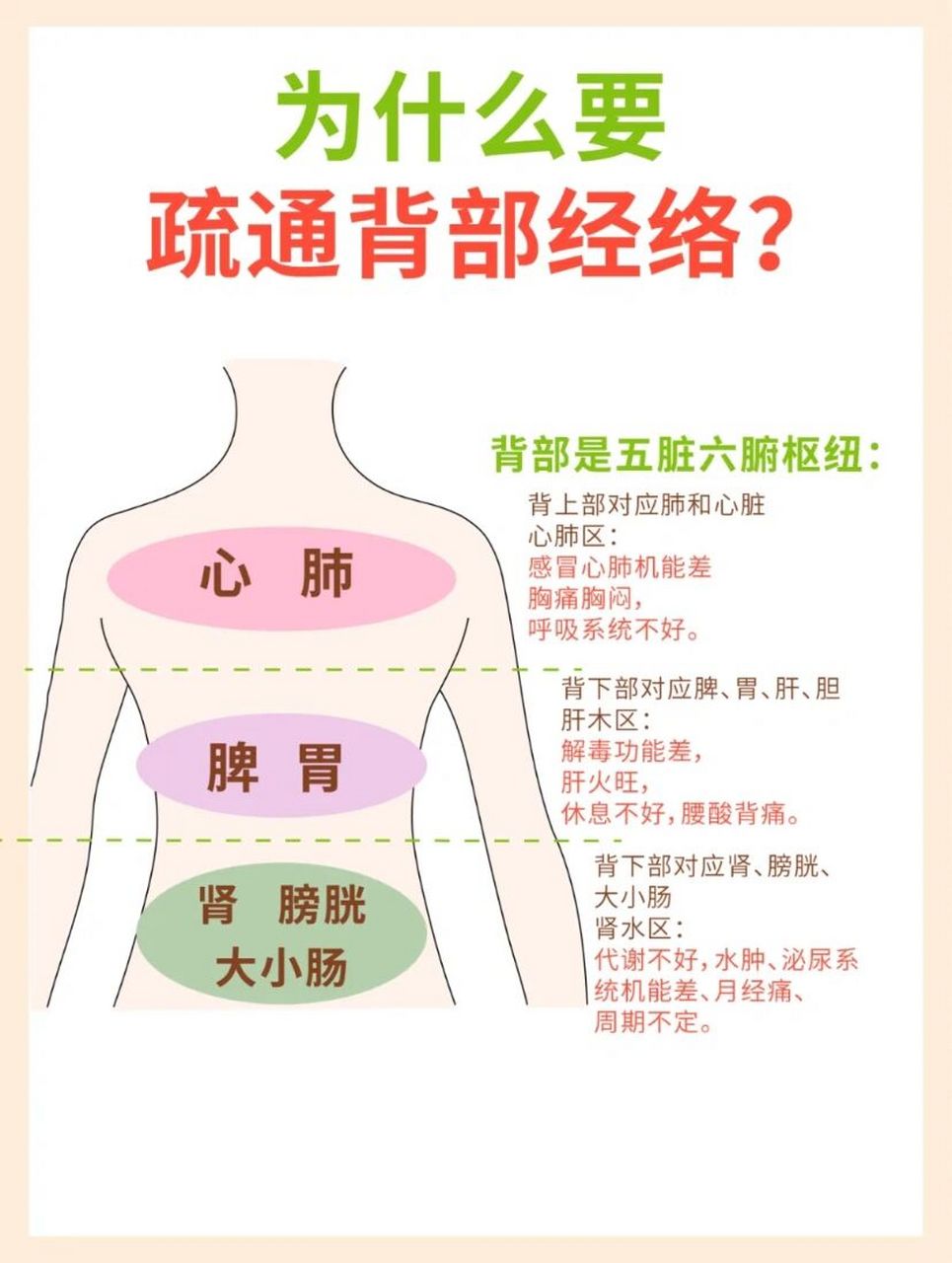 为什么要做背部疏通?
