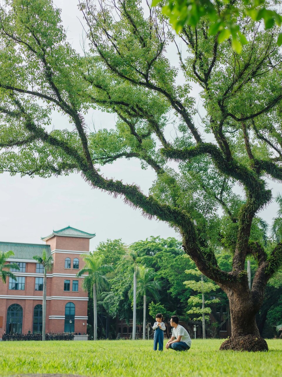 走进广州最美大学