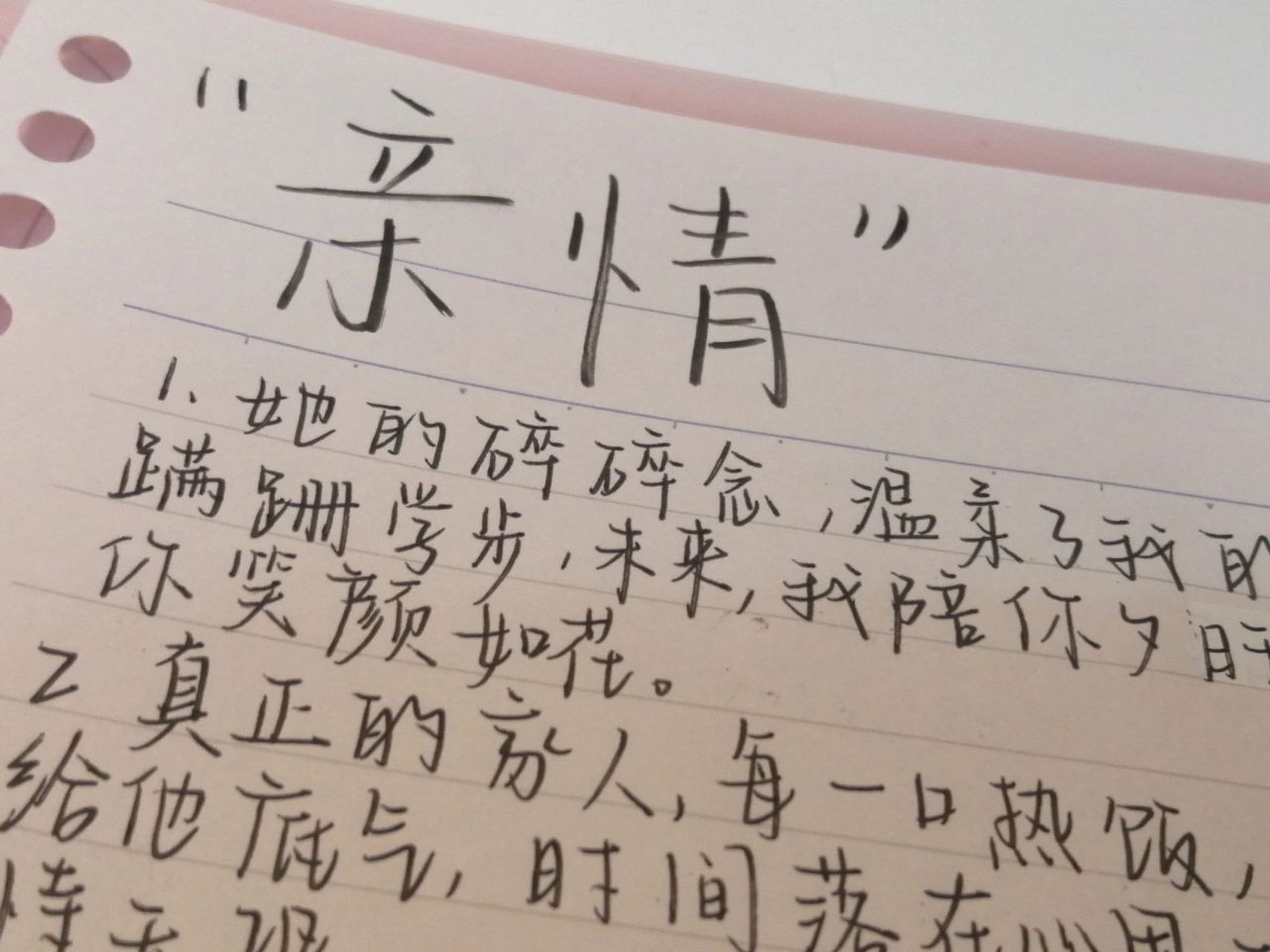 的作文摘抄 "她的碎碎念,温柔了我的岁岁年年,过去,你陪我蹒跚学步