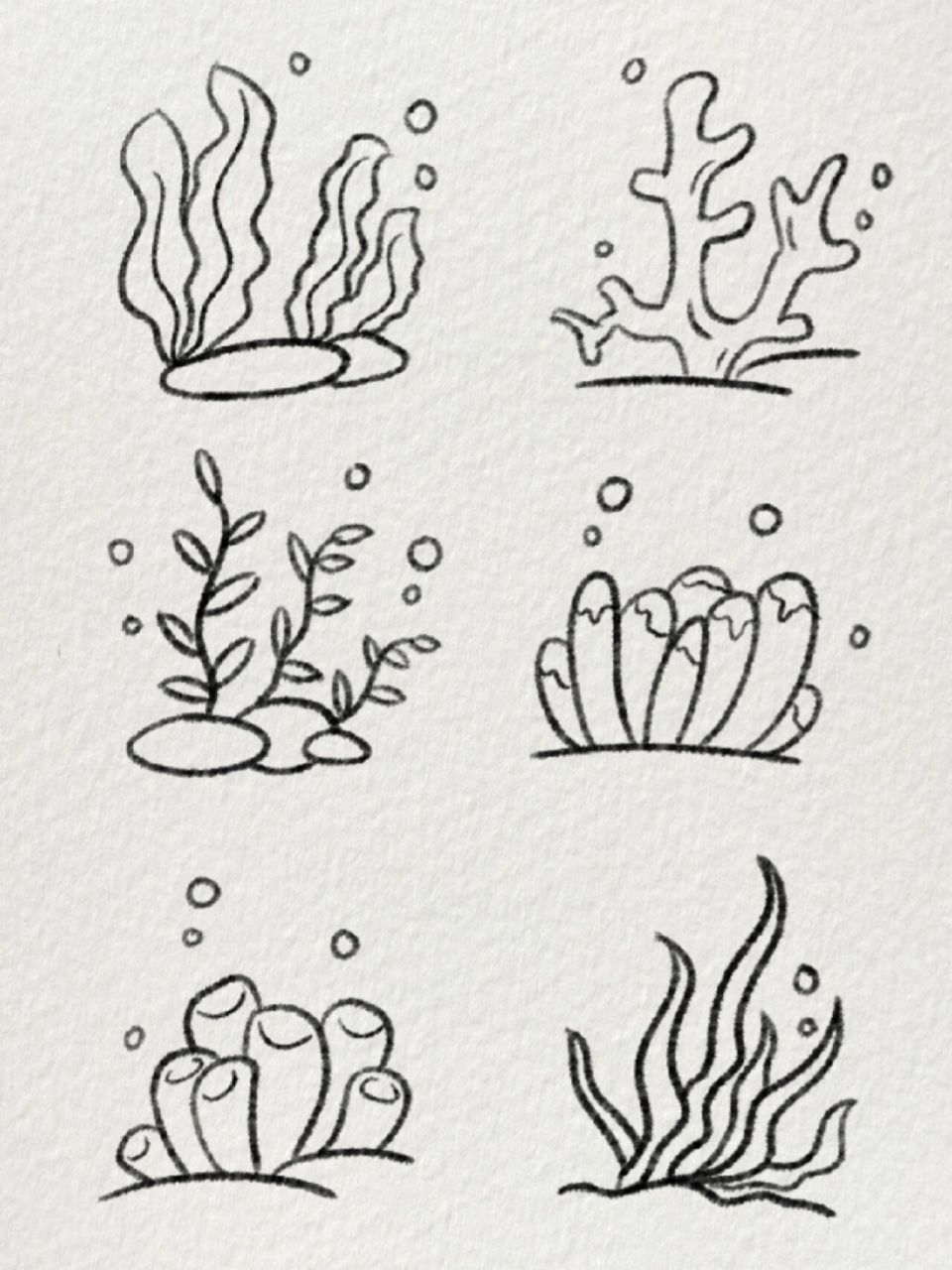 海底简笔画 海草图片