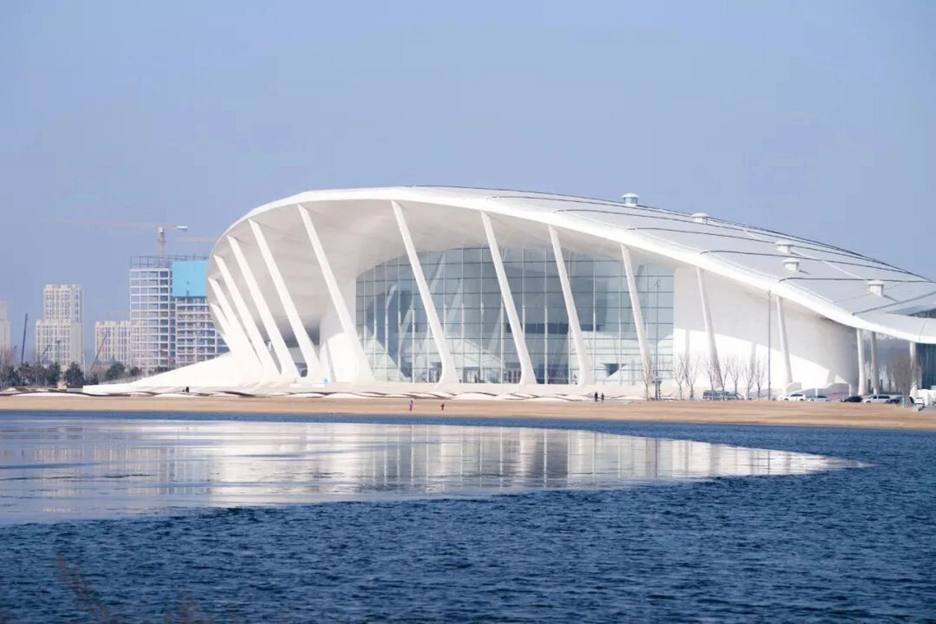 青岛上合之珠国际博览中心(展陈51) 青岛上合之珠国际博览中心 | 崔愷