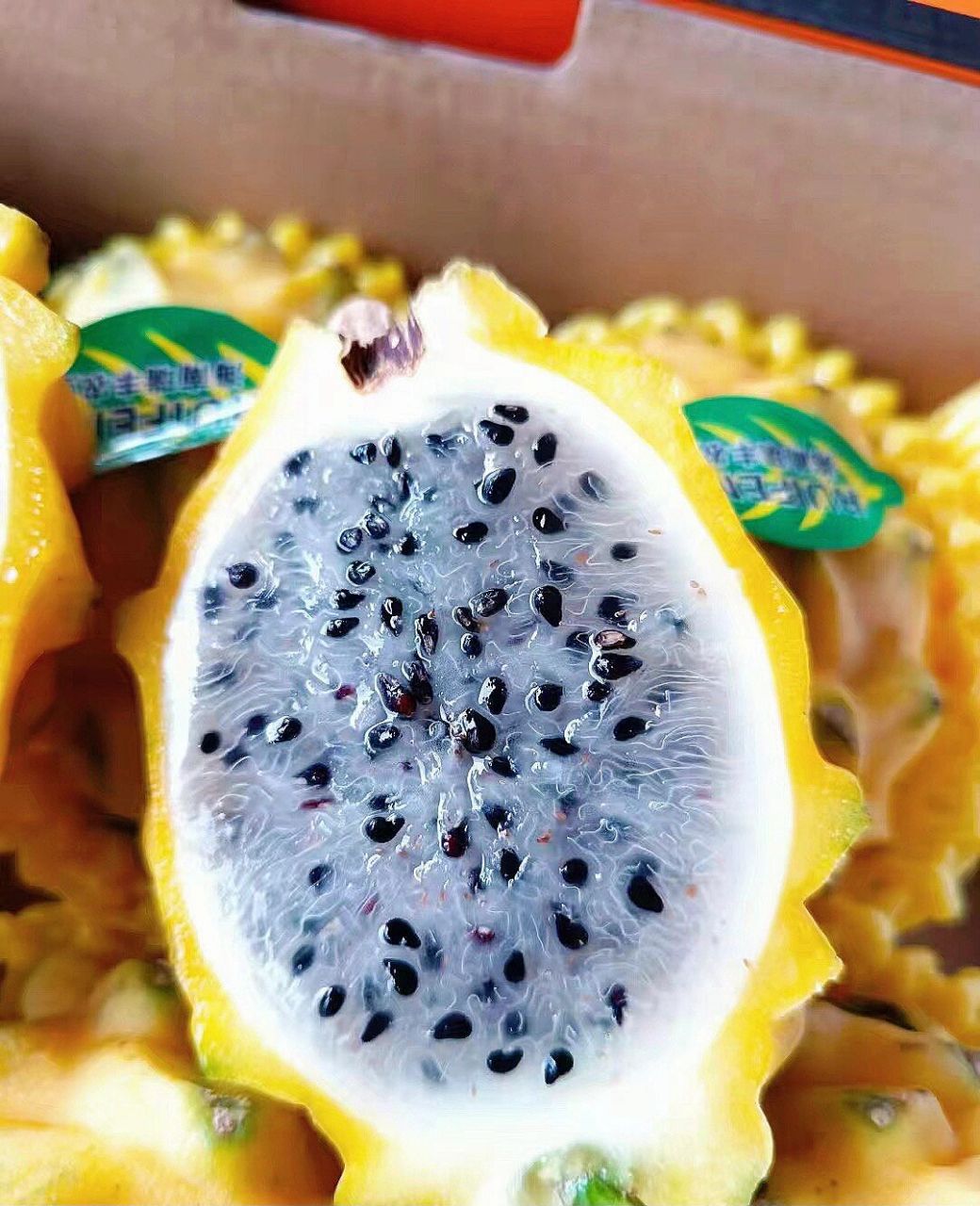 燕窝果又名麒麟果,也就是黄皮的火龙果,是市面上很少见的一种水果,在