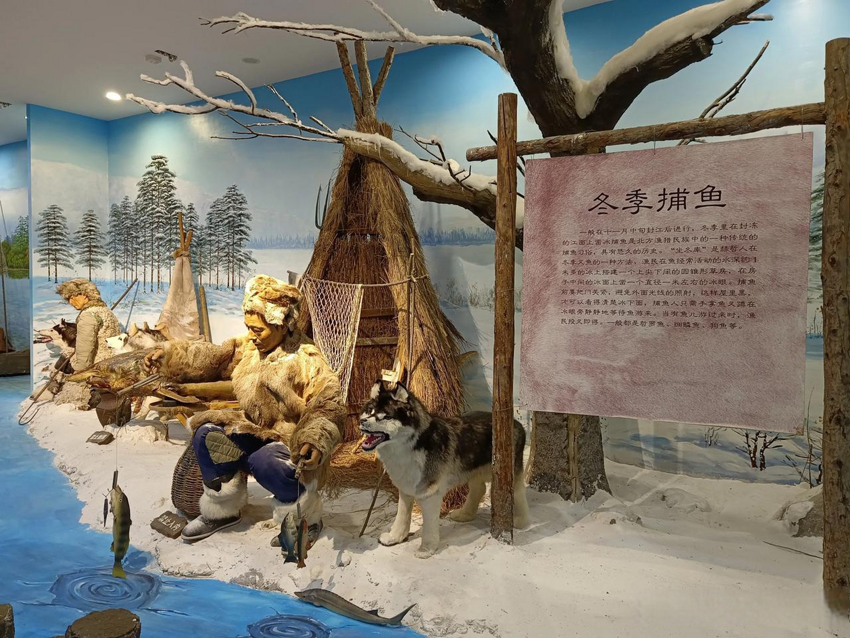 抚远市鱼博馆位于"华夏东极"黑龙江省抚远市市区内,是以黑龙江,乌苏里