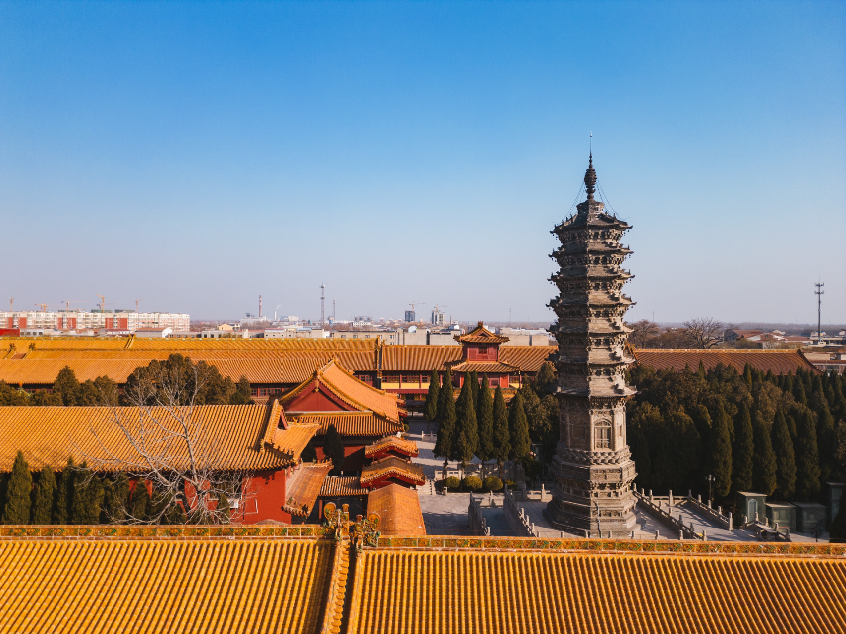 除了赵州桥,这个县还有一座国宝级柏林寺塔 07 第3天,河北赵县柏林