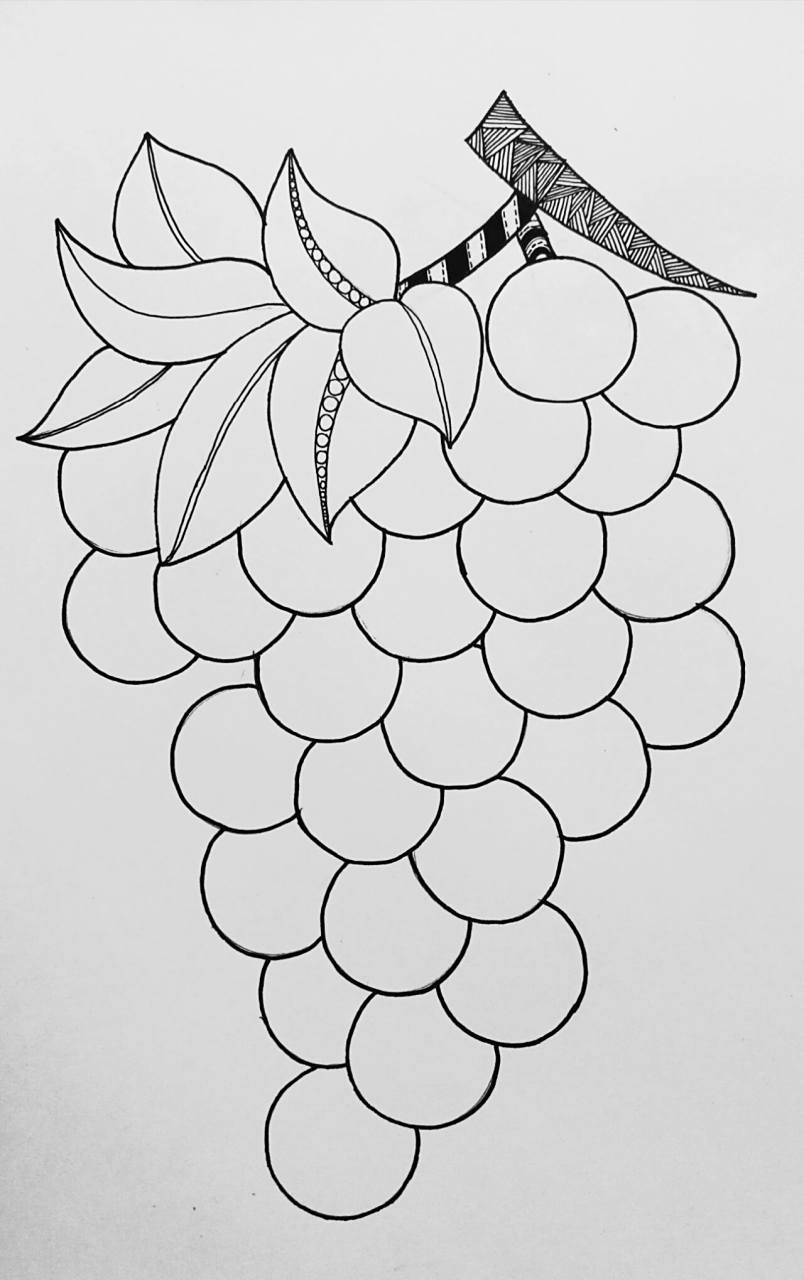 《一串葡萄》线描画绘画过程 喜欢葡萄一串又一串很漂亮, 但不喜欢吃