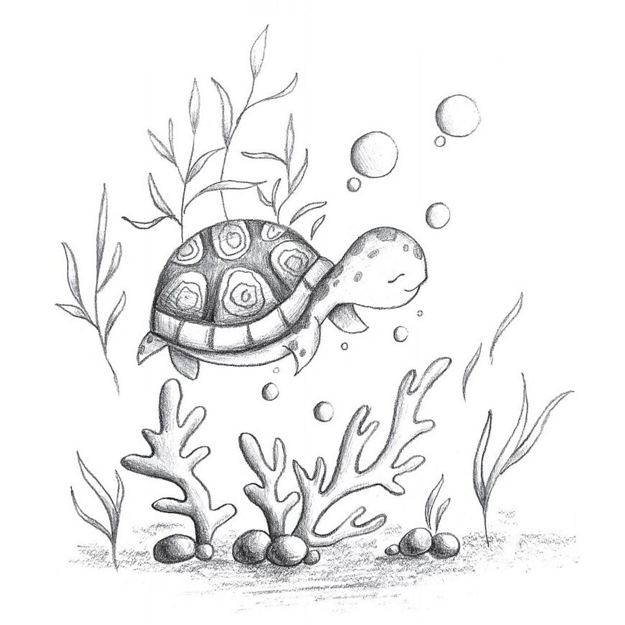 我们除了要学习如何画小海龟外,还要学会画场景,让小海龟在海底畅 ..