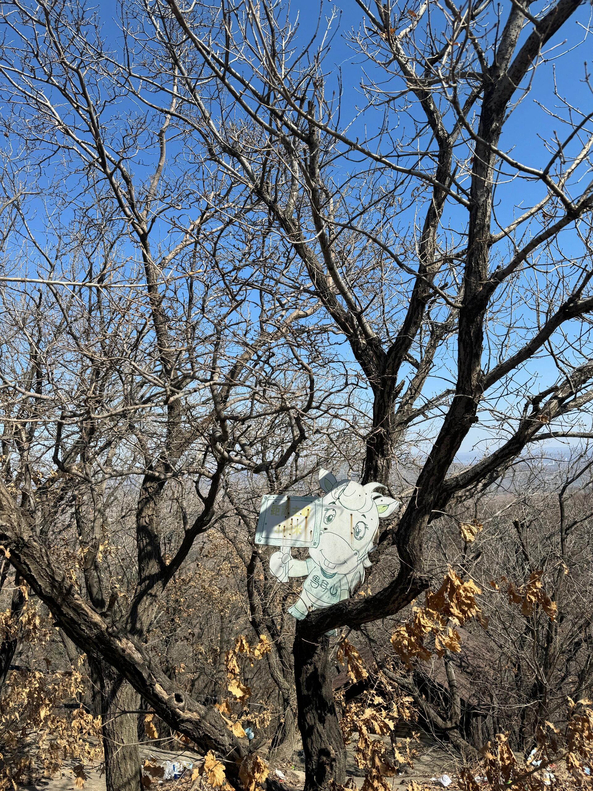 沈阳周边一日游 - 马耳山