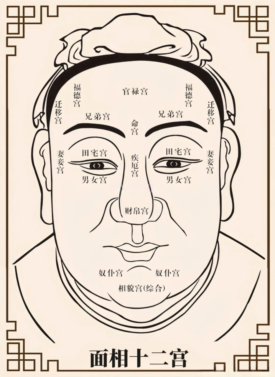 面相宫图图片