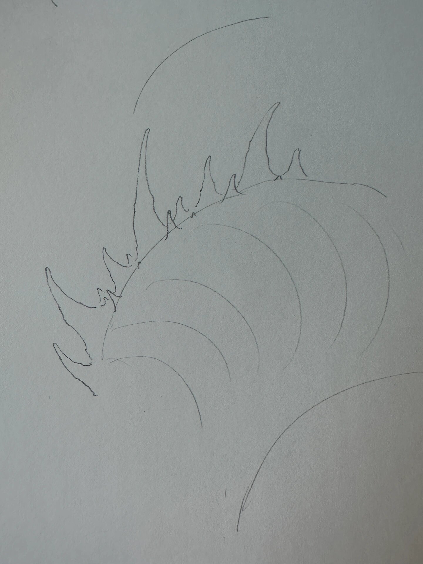 龙背鳍画法教学