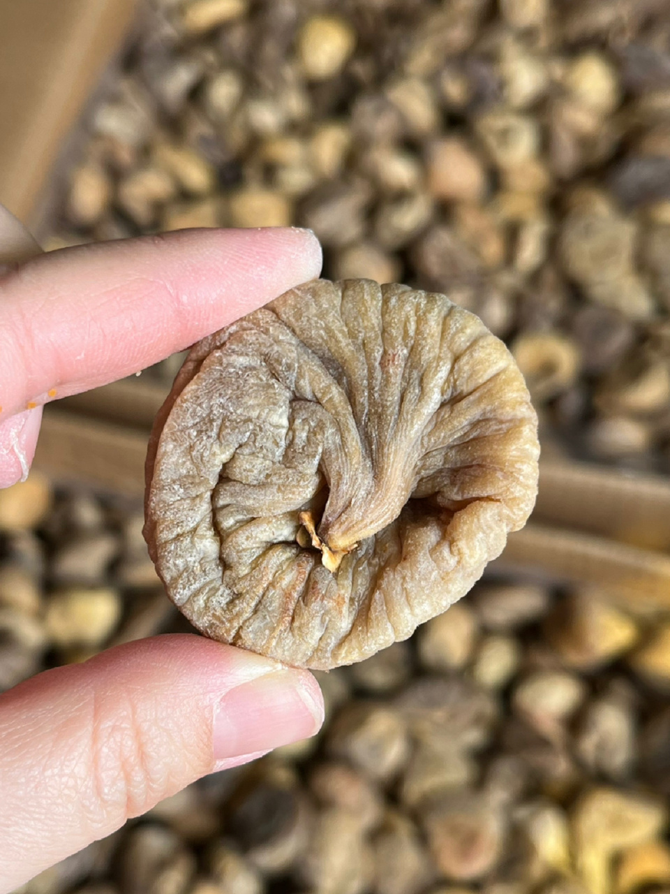 土耳其无花果干～ 催奶下奶好物,天然黄体酮,月子期,哺乳期必备好物!