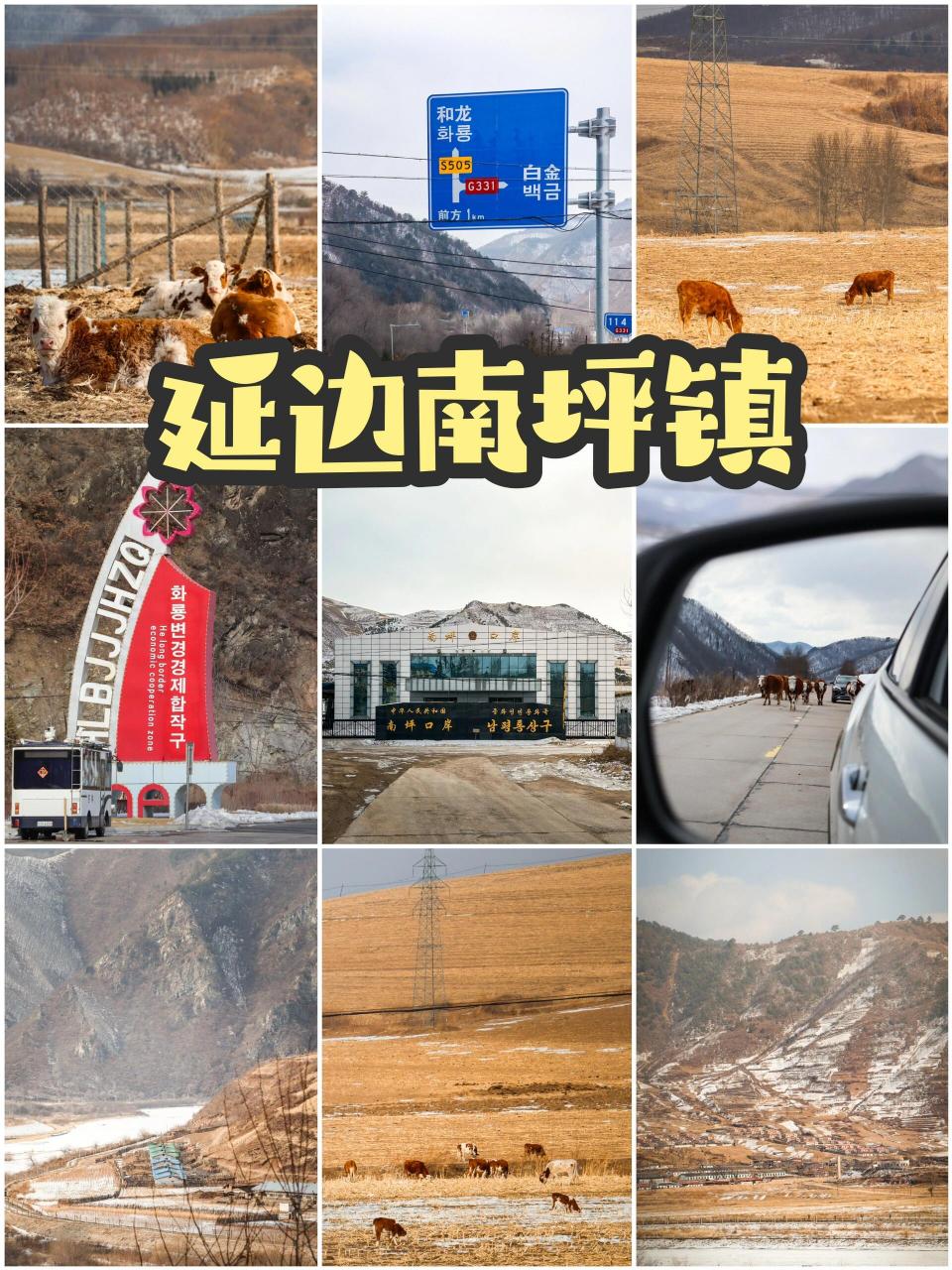 115669|和龙南坪口岸 9899:南坪口岸位于吉林省和龙市南坪镇