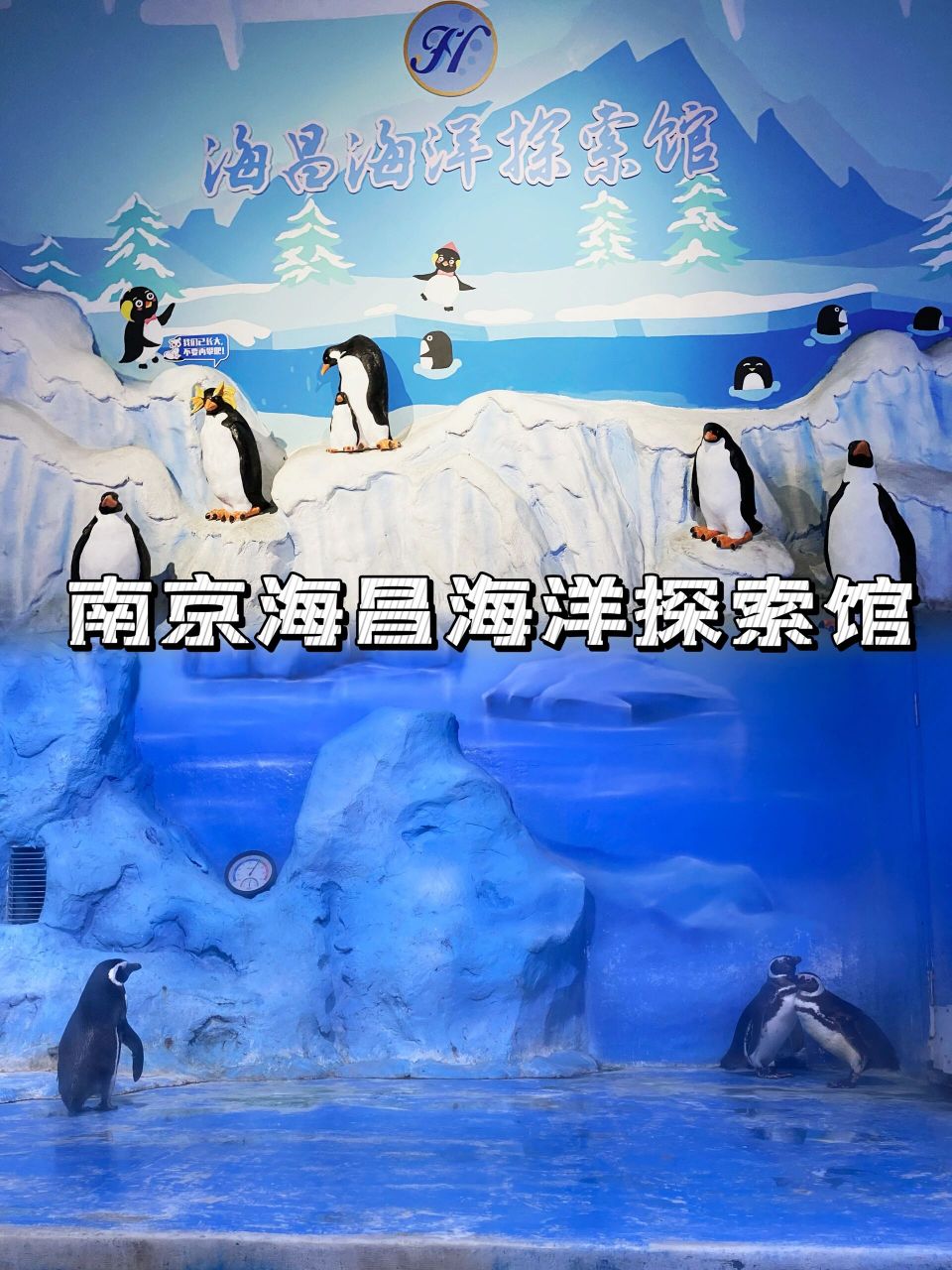 南京海昌海洋探索馆 99南京海昌海洋探索馆  地点:应天大街888号