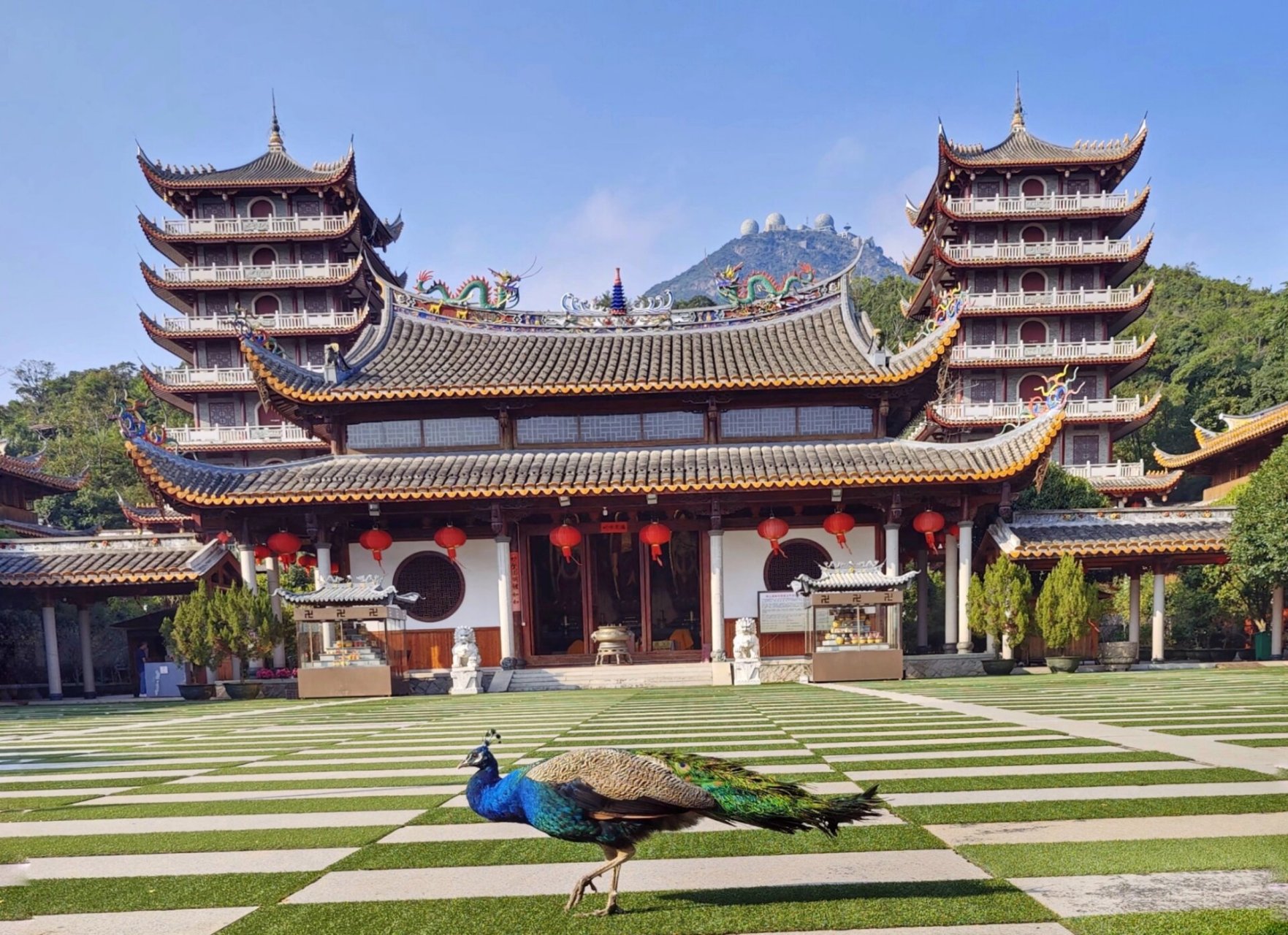 隐藏在鼓山深处的宝藏地～般若苑9097