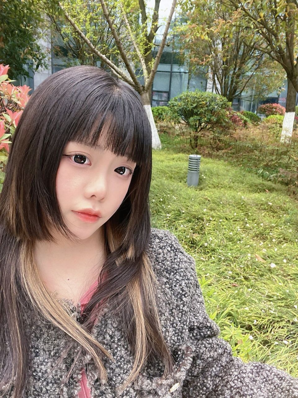 发型来喽～ 早知道水母头这么多变就应该早点剪的 要是想变成短发的话