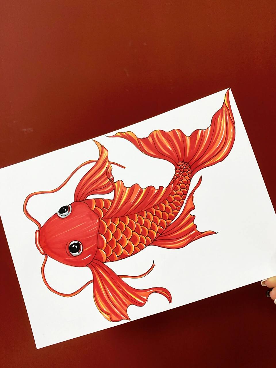 原创马克笔手绘锦鲤—鸿运当头接锦鲤 画了一条红红火火的锦鲤,希望