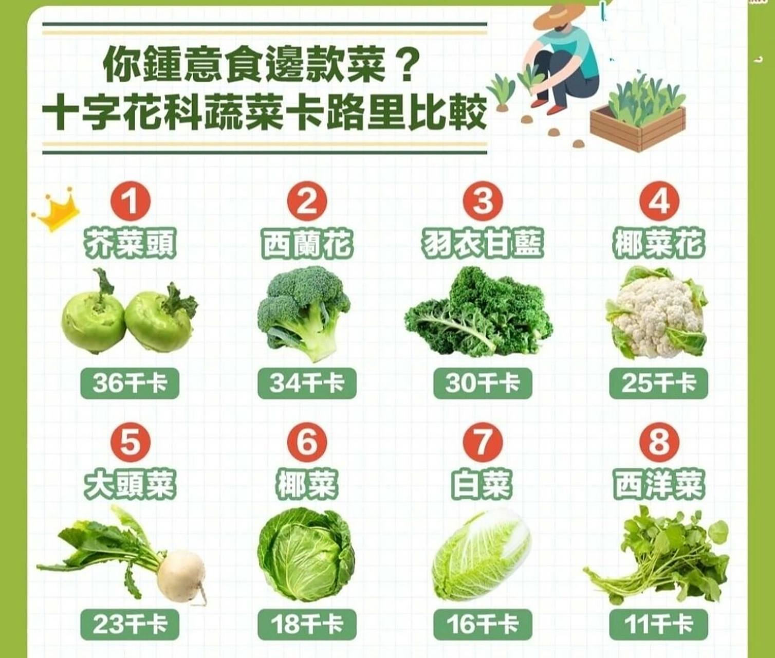 健康100|十字花科蔬菜06 西蘭花,椰菜花,白菜等都