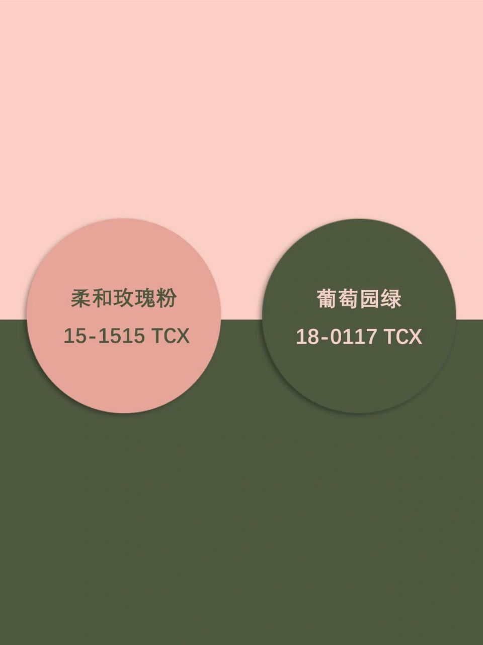 莫兰迪/粉色搭配/双色搭配/配色/色彩搭配 1.柔和玫瑰粉 葡萄园绿 2.