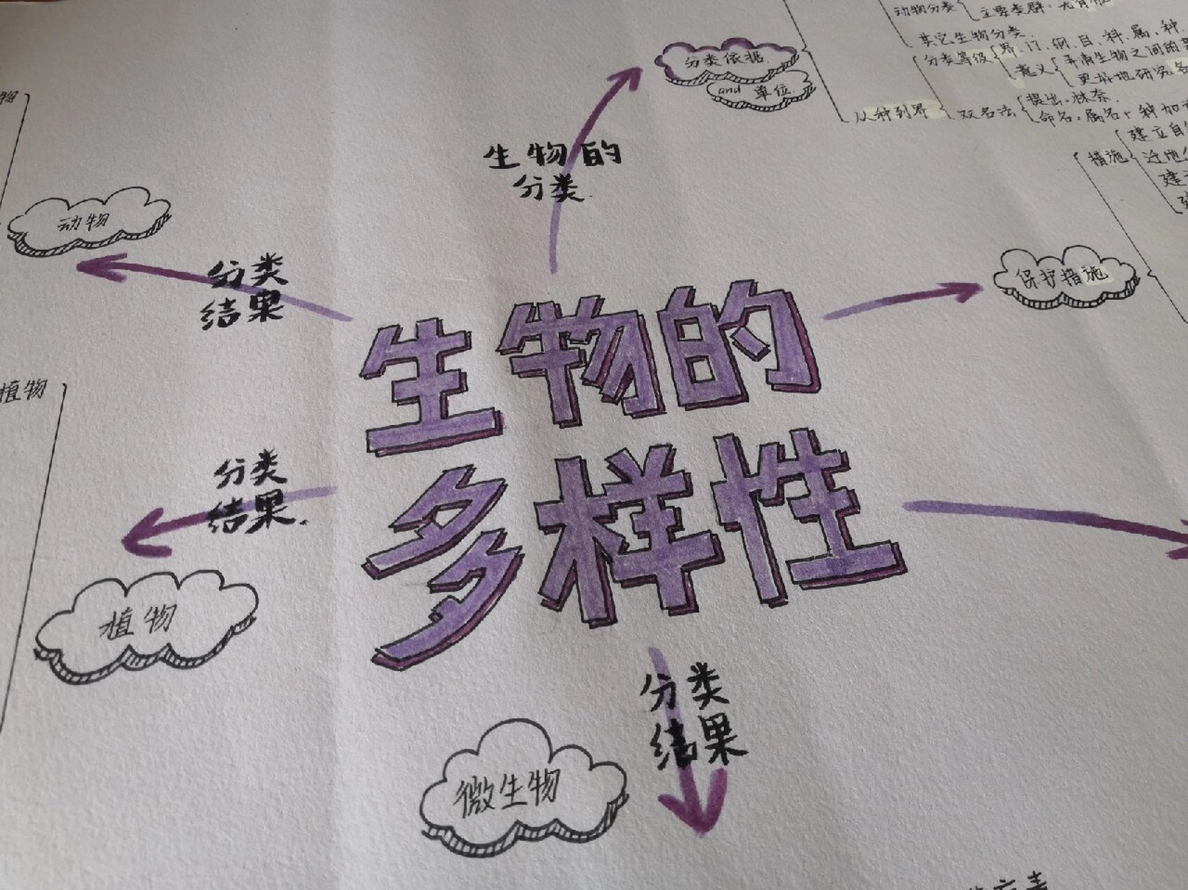 生物思维导图来啦 七年级 八年级生物思维导图-生物的多样性