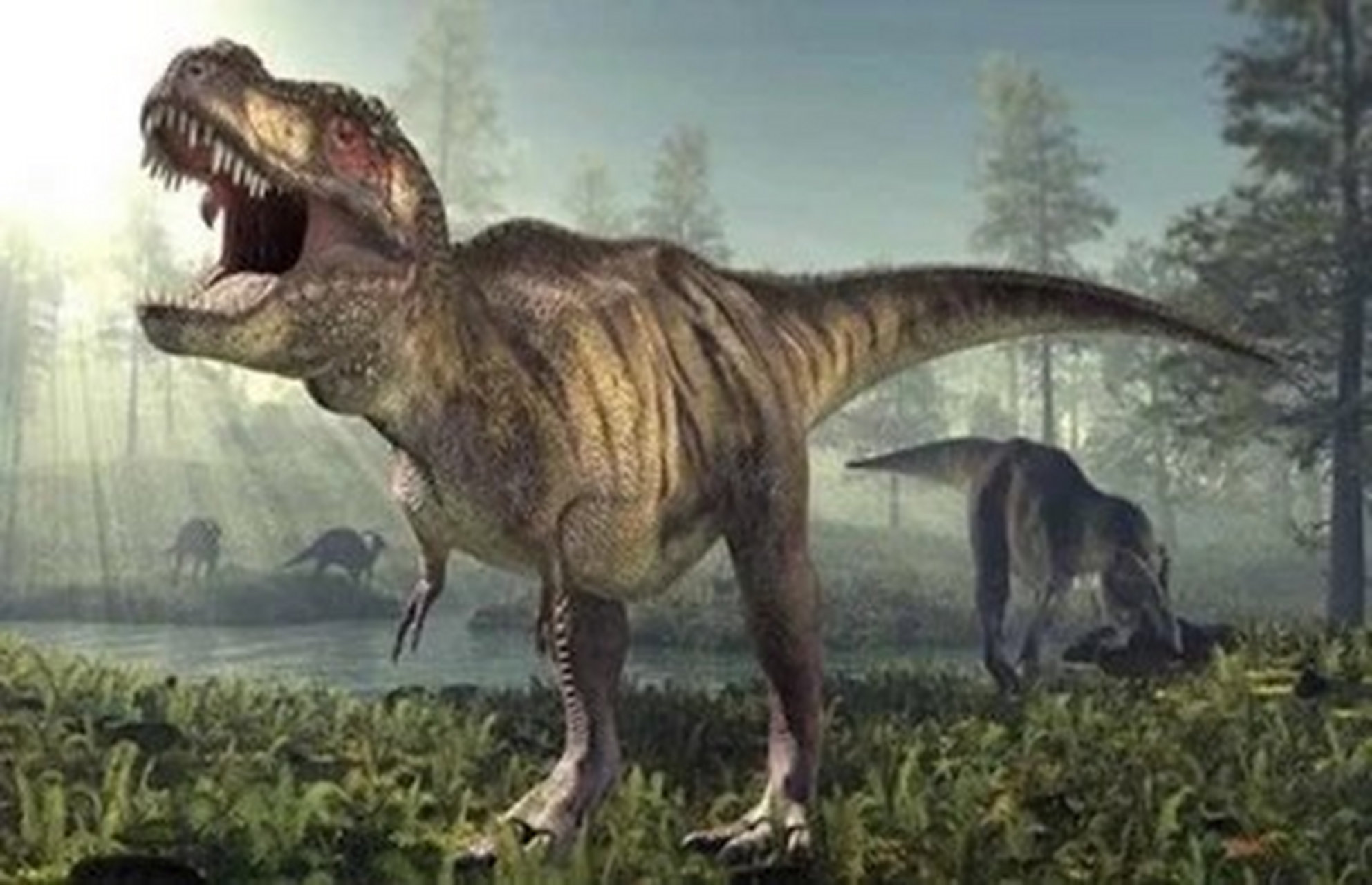 今日恐龙科普|暴龙(霸王龙) tyrannosaurus rex 名字的意思是残暴的