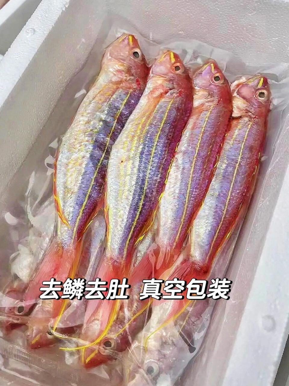 红杉鱼又名金线鱼,深海野生海鱼,目前无法人工养殖.