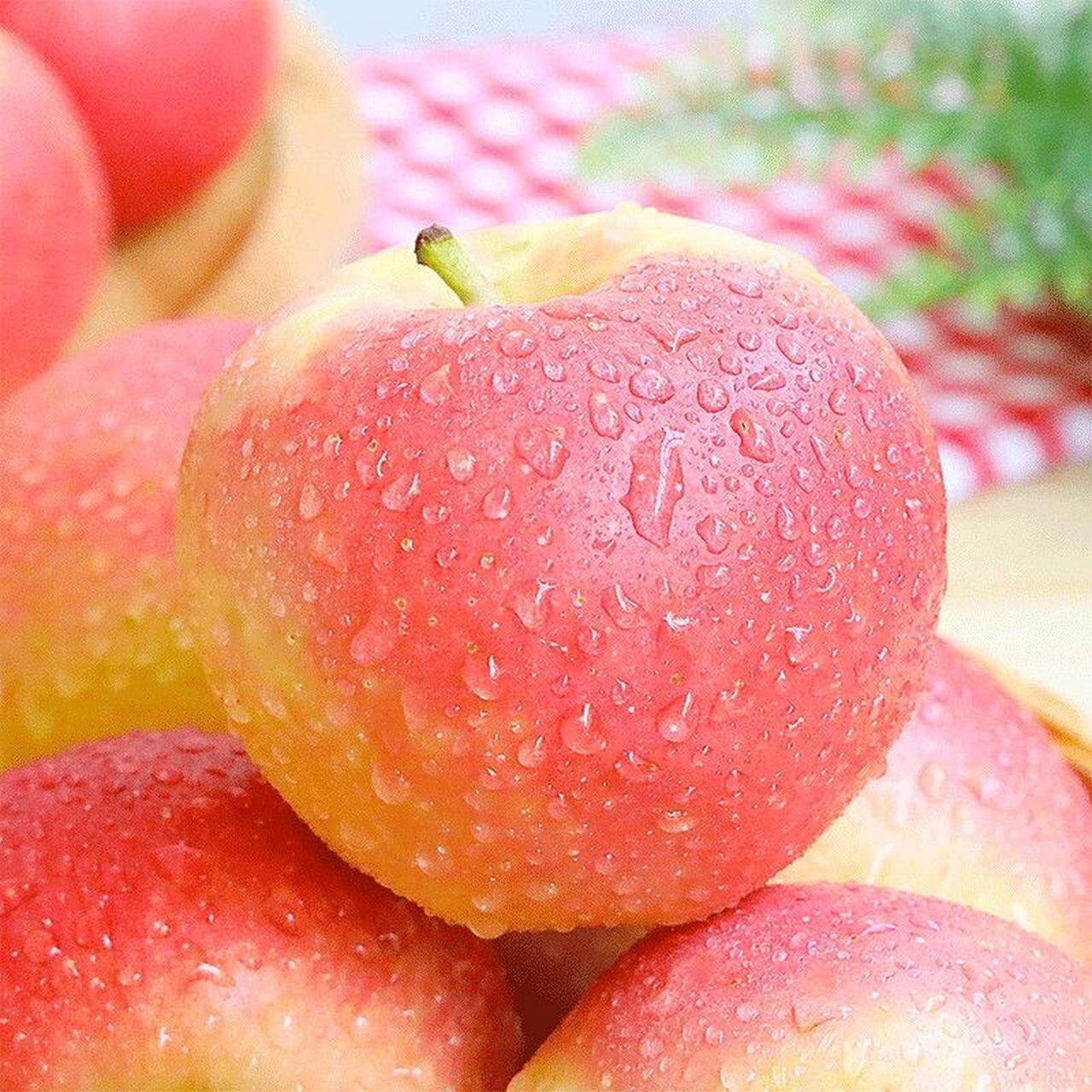 新货烟台嘎拉苹果新鲜脆甜应季水果 嘎拉苹果 小巧玲珑 香甜爽口 肉质