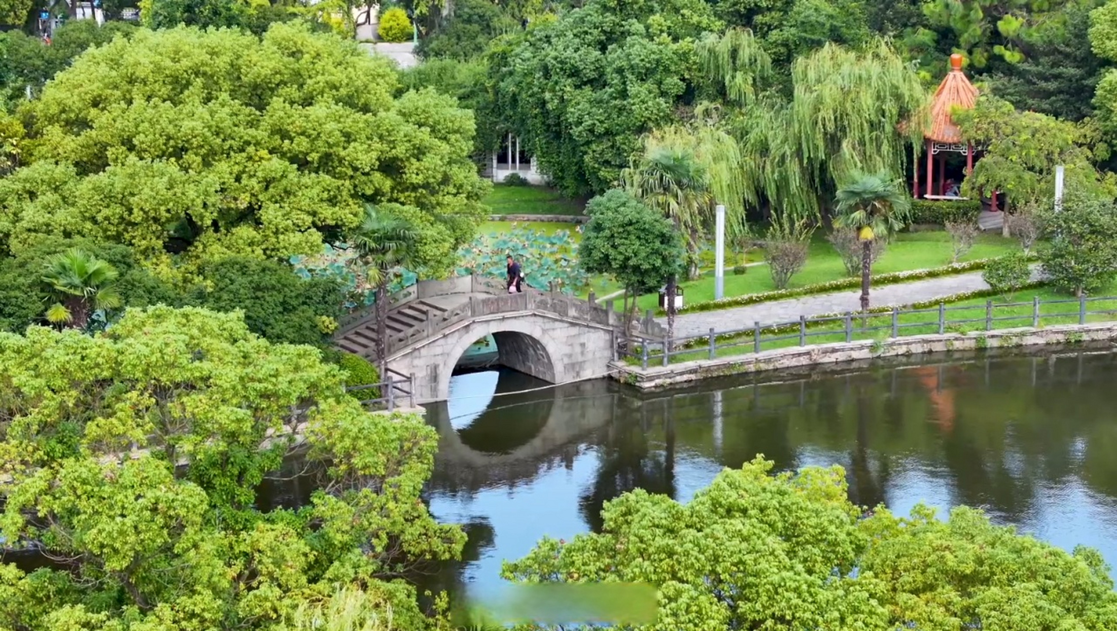 美丽北仑#【在戚家山蛟山公园来一场秋天里的citywalk】近日,戚家山