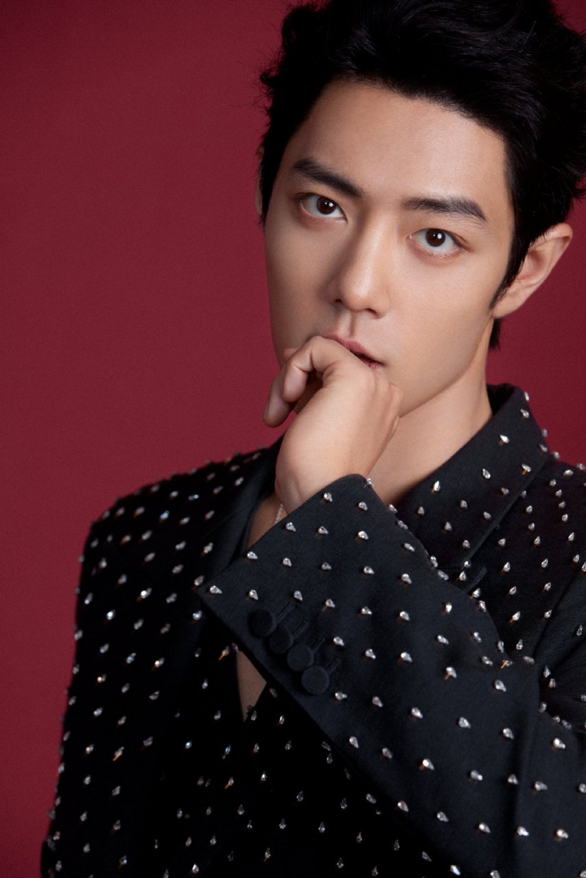 网友提名的内娱4大男花瓶9615,大家认同吗 邓为 龚俊 许凯 肖战