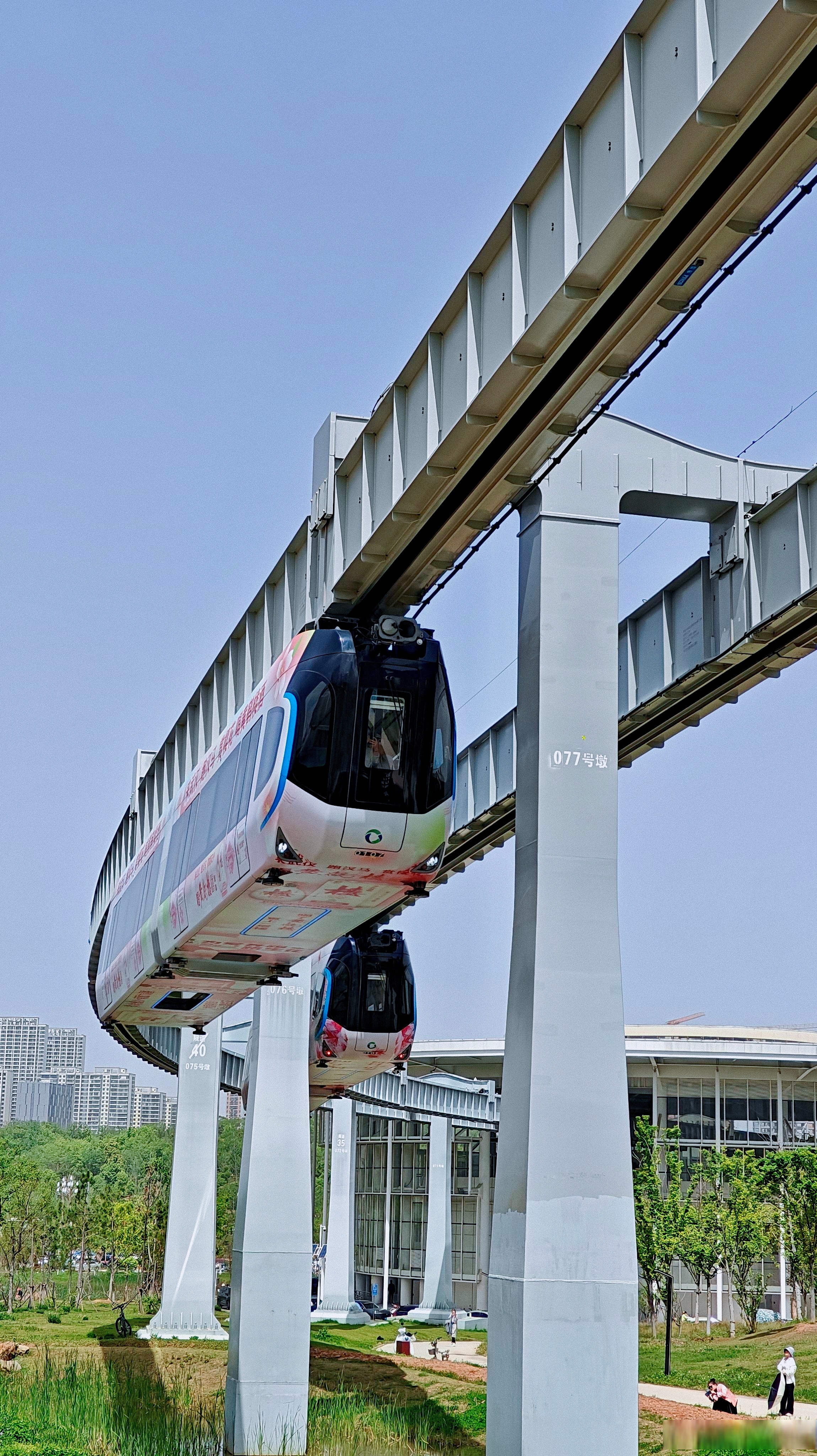 像一支低空滑翔的科幻舰队,脚下是梧桐大道与玻璃幕墙交织的城市肌理