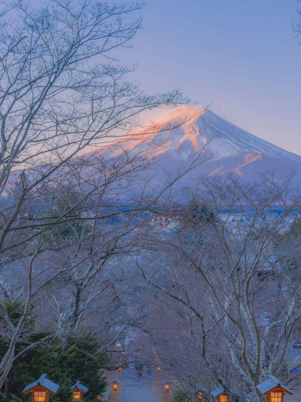日本风景壁纸 家乡的sakura开了