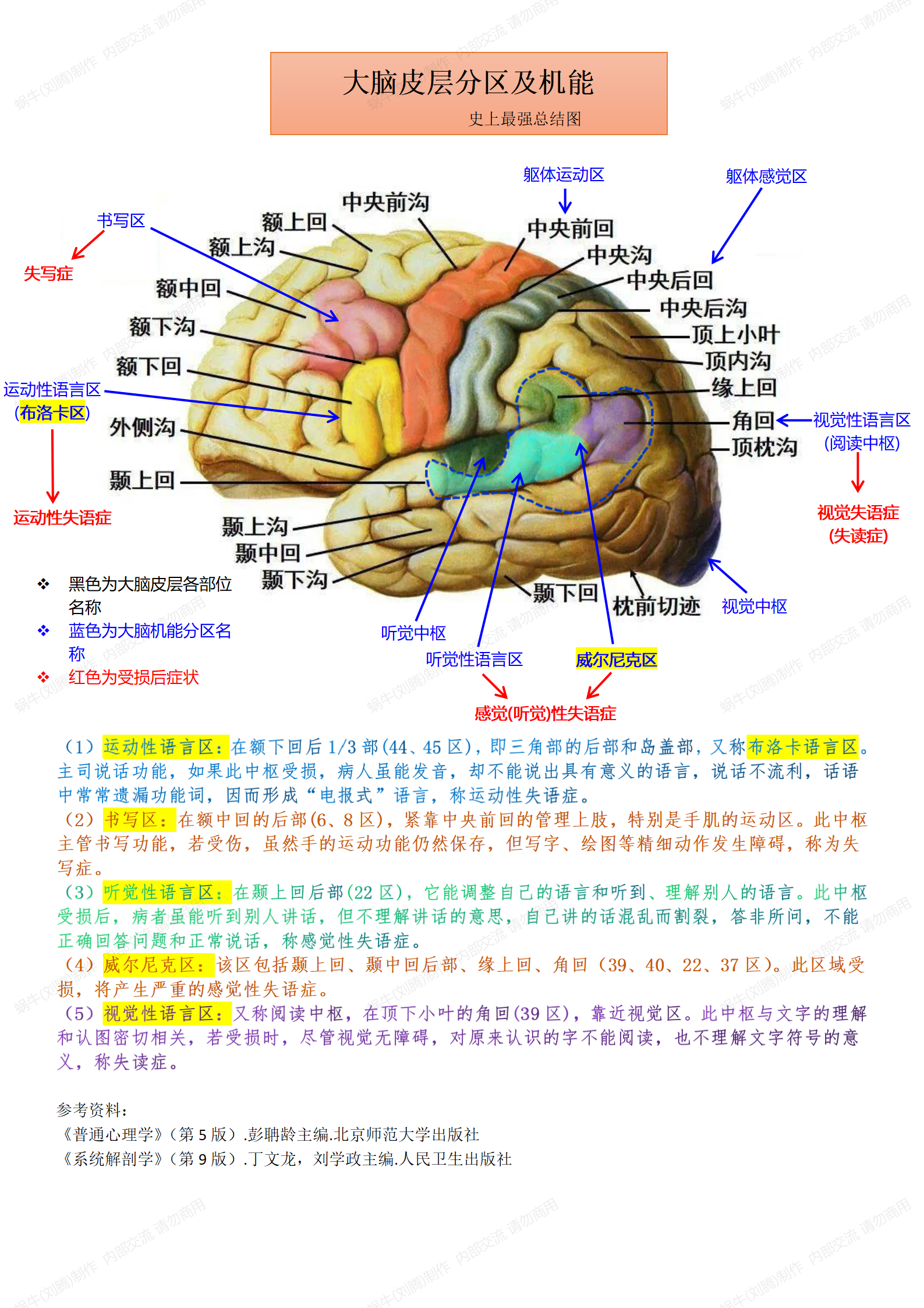 大脑皮质的机能定位区