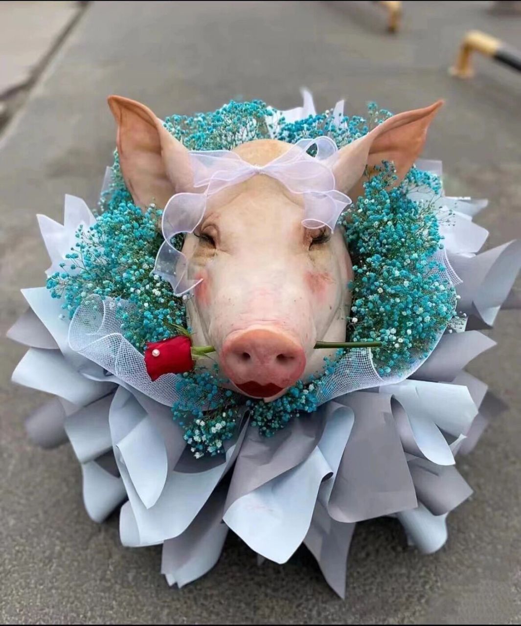 情人节搞怪花束