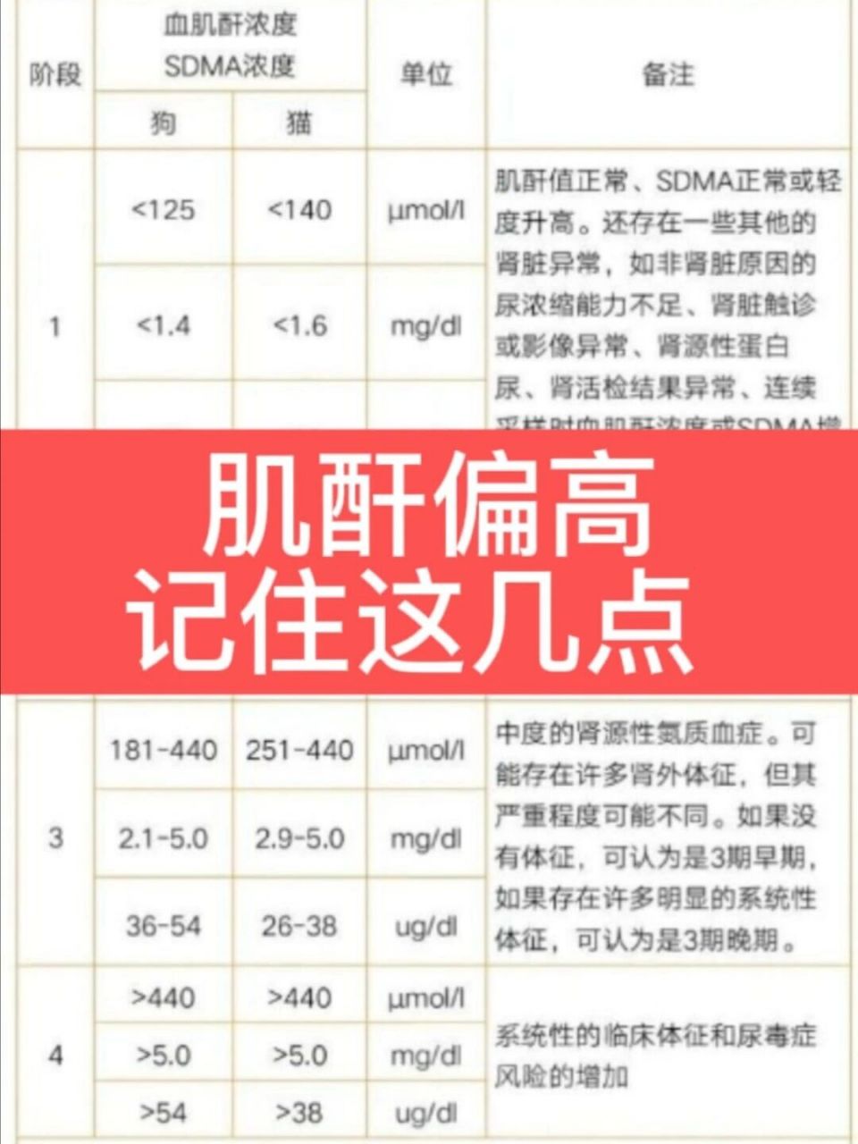 血肌酐偏低图片