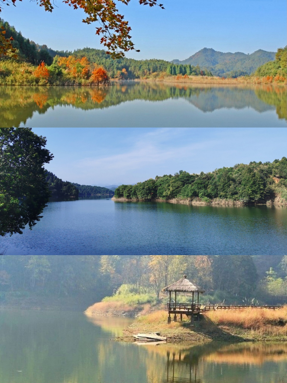 千岛湖小众游 | 姜家镇 西南湖区自驾攻略 09千岛湖景区有五大湖区.