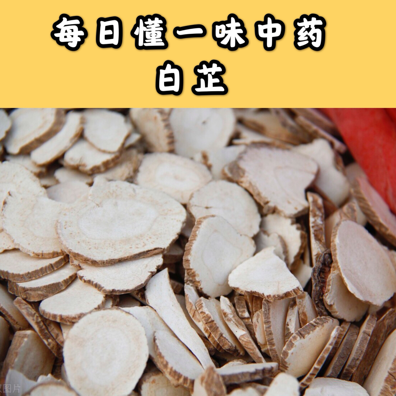 每日懂一味中药:白芷——解表散寒,祛风止痛 91【白芷】 别名:香