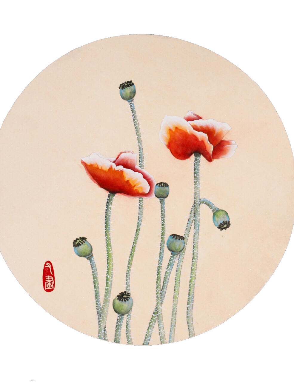 【国画|工笔花卉虞美人新手教程】 材料教程:国画颜料,墨汁,仿古熟宣