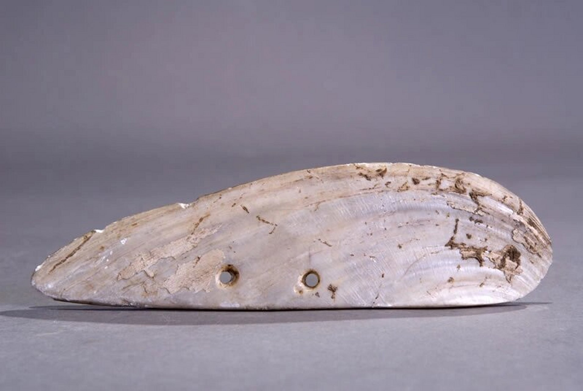 考古学认器型|石,蚌刀 7415人类社会早期使用的生产工具,大都是以