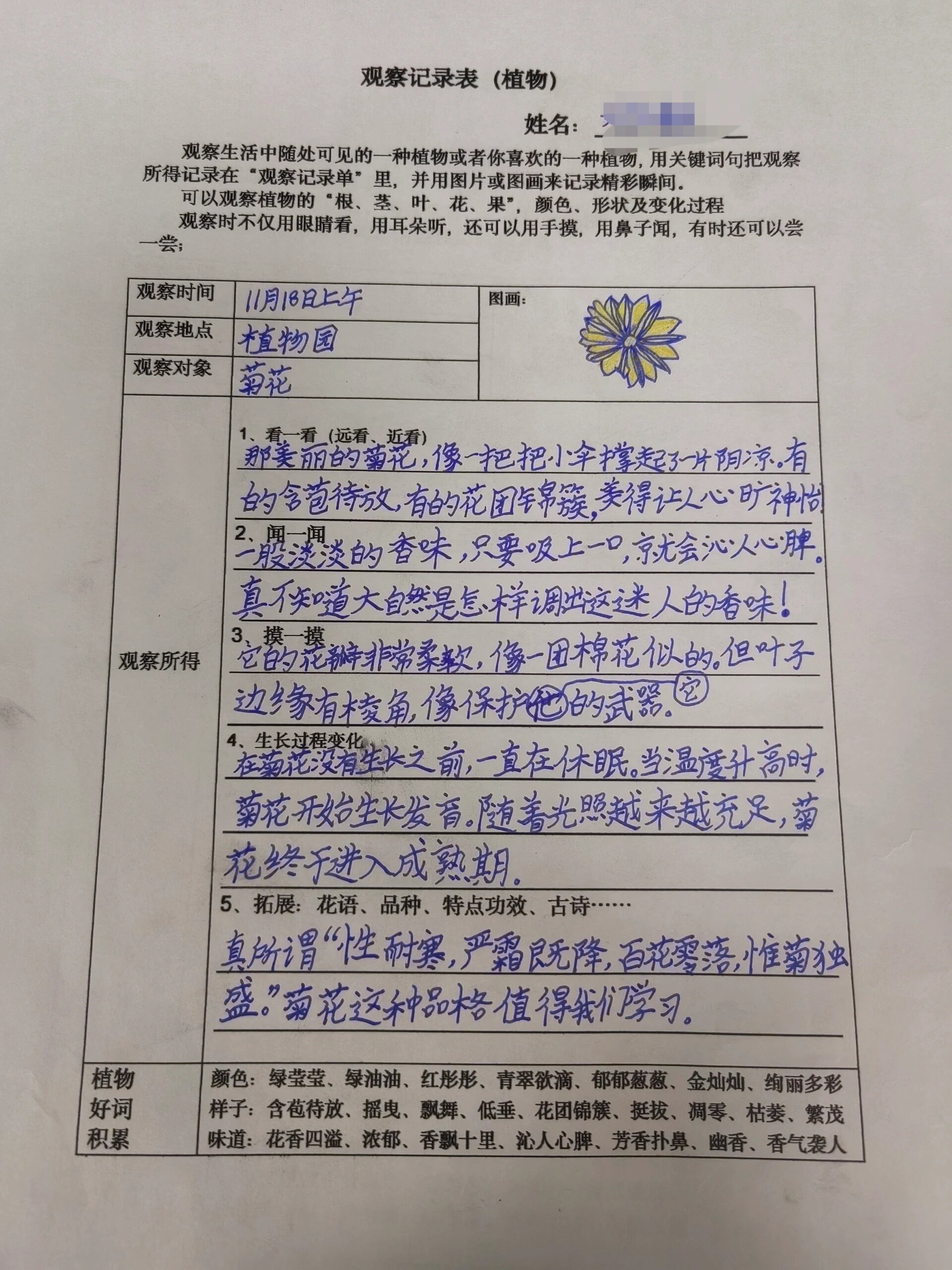 植物观察记录单三年级语文上册(小学三年级植物观察记录表怎么写)