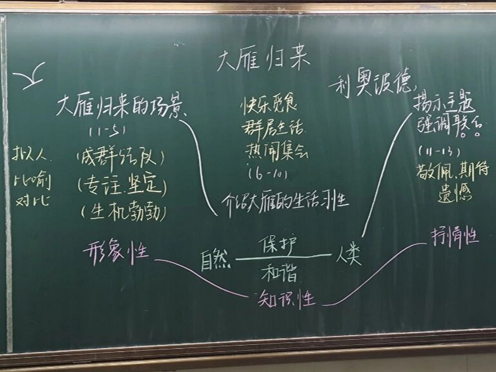 《大雁归来》课堂板书 参考了这位同仁 的板书,思路非常清晰,也给大家